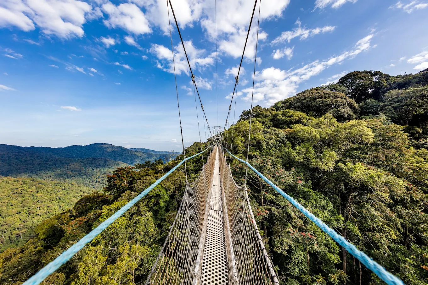 Nyungwe National Park